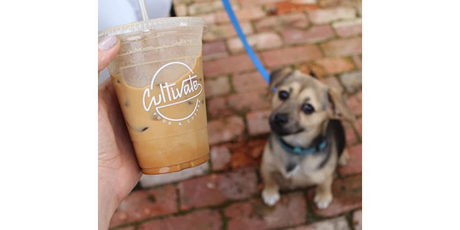 Cultivate Food + Coffee Slider-8