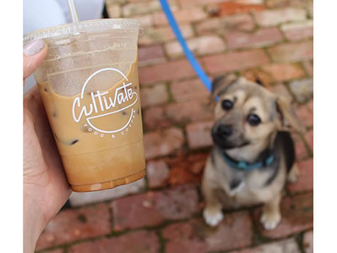 Where Success is Cultivated! Where Success is Cultivated! Slider 8