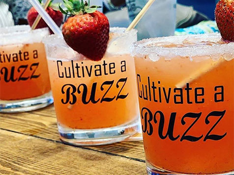 Where Success is Cultivated! Where Success is Cultivated! Slider 4