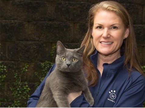 Woofie’s Pet Ventures Woofie’s Pet Ventures Slider 7