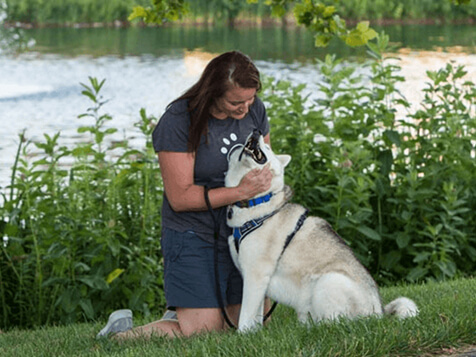 Woofie’s Pet Ventures Woofie’s Pet Ventures Slider 8