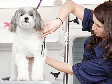 Woofie’s Pet Ventures Woofie’s Pet Ventures Slider 1