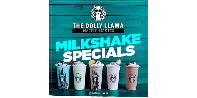 The Dolly Llama Waffle Master Slider-9