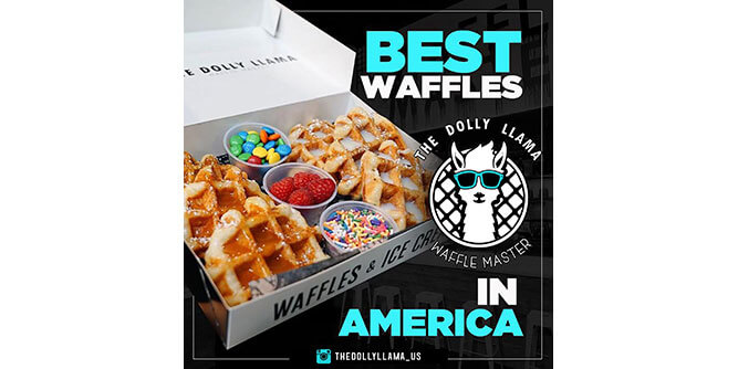 The Dolly Llama Waffle Master Slider-2