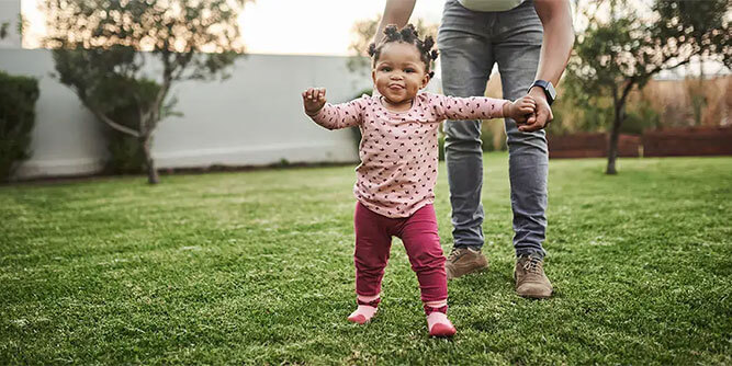 Canopy Lawn Care Slider-4