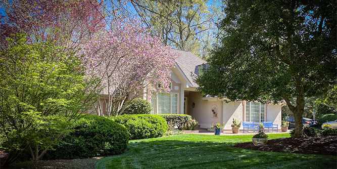 Canopy Lawn Care Slider-6