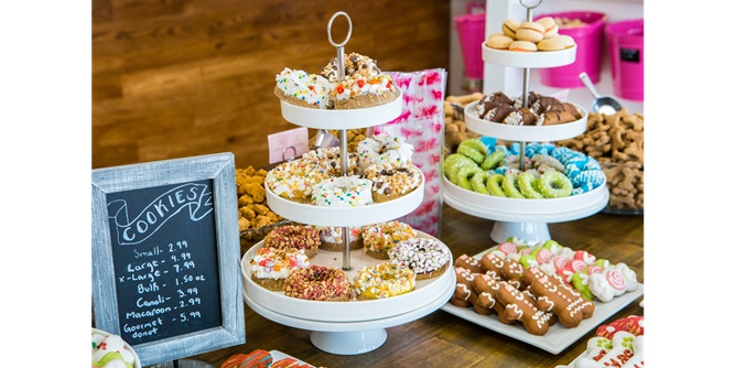 Woof Gang Bakery & Grooming Slider-2