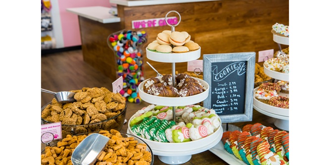 Woof Gang Bakery & Grooming Slider-7