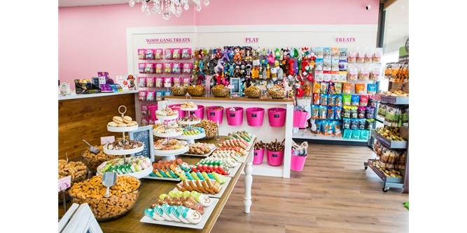 Woof Gang Bakery & Grooming Slider-8