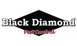 Franchise Opportunity Franchise Opportunity