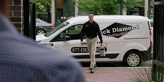 Black Diamond Pest Control Slider-2