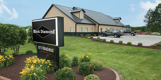 Black Diamond Pest Control Slider-5