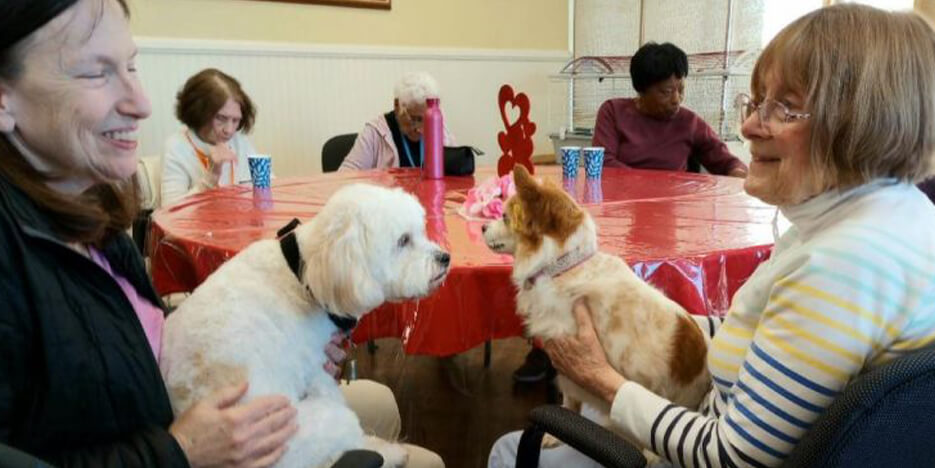 Daycation for Seniors® Slider-2