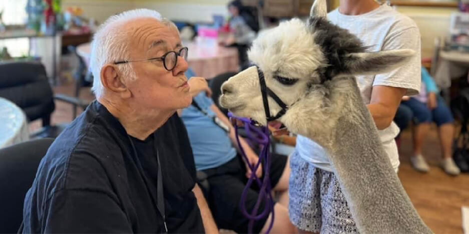 Daycation for Seniors® Slider-3