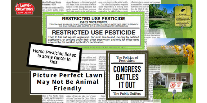 Lawn Creations Slider-6