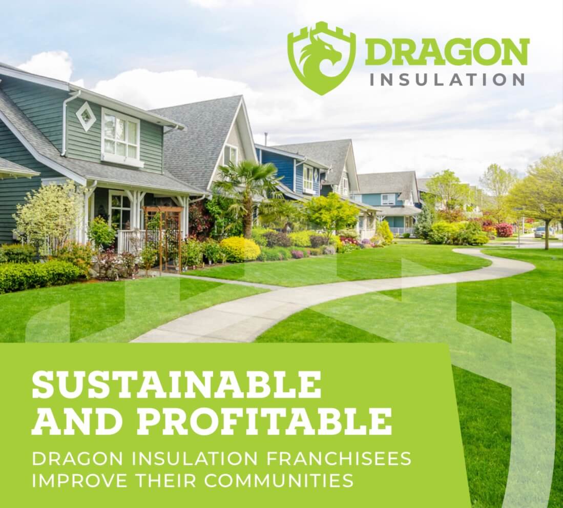 Dragon Insulation Slider-2