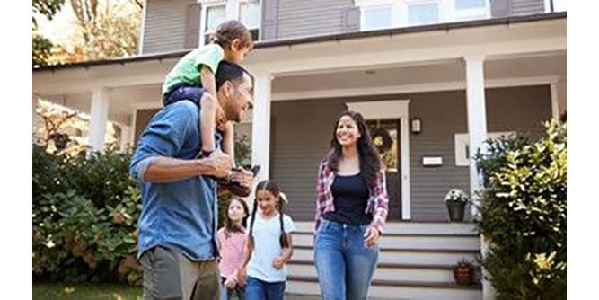 Dragon Insulation Slider-3