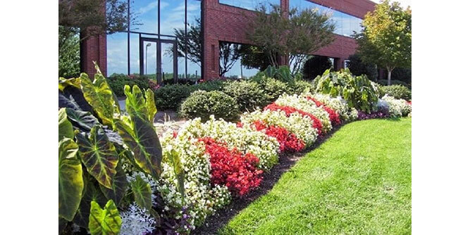 TM Landscape Solutions Slider-2