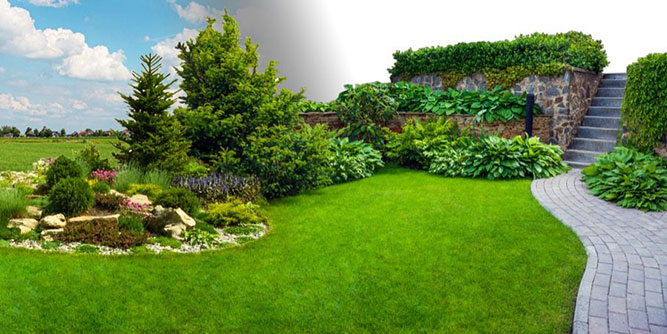 TM Landscape Solutions Slider-6