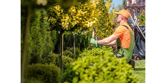 TM Landscape Solutions Slider-7