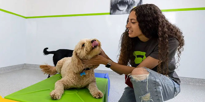 bark! bark! Slider-2