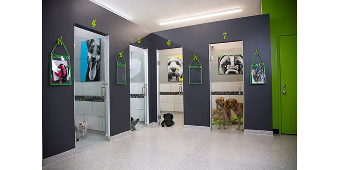 bark! bark! Slider-7