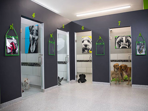 bark! bark! bark! bark! Slider 6