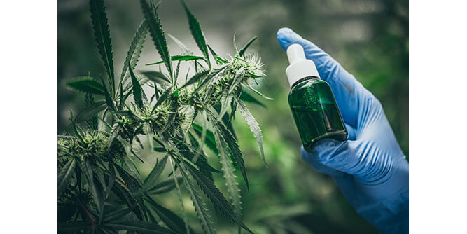 Texas Freedom CBD Slider-4