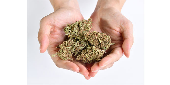 Texas Freedom CBD Slider-5