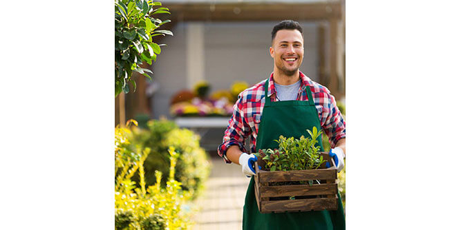 Amelia Lawn & Landscaping Services Slider-3