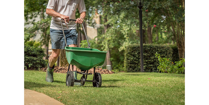 Amelia Lawn & Landscaping Services Slider-5