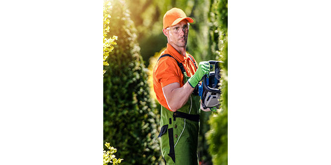 Amelia Lawn & Landscaping Services Slider-6