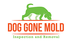 Dog Gone Mold