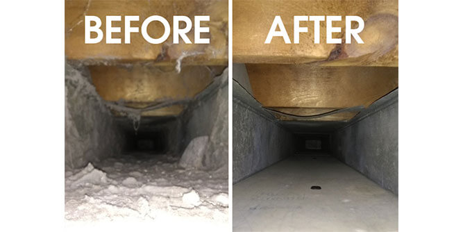 Dog Gone Mold Slider-4