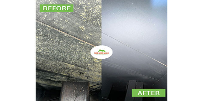 Dog Gone Mold Slider-7