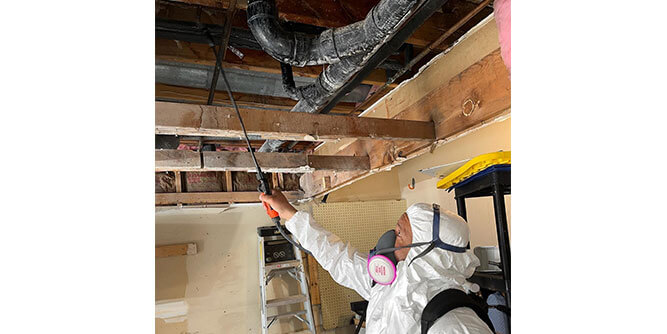 Dog Gone Mold Slider-6