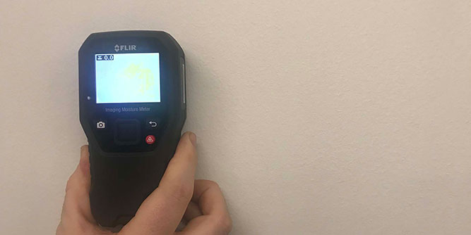 Dog Gone Mold Slider-5