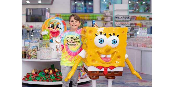 Sugar Kingdom Slider-7