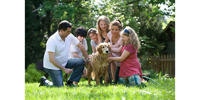 Mosquito Mike Slider-3