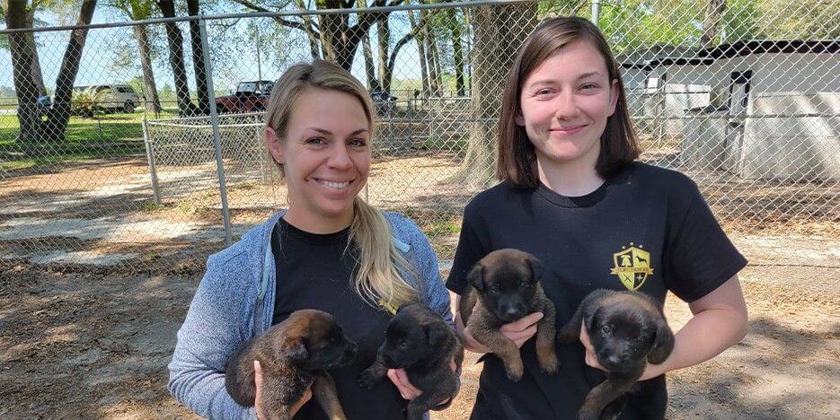 Top Tier K9 Slider-7