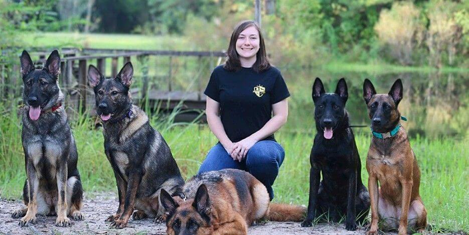 Top Tier K9 Slider-4