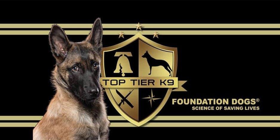 Top Tier K9 Slider-2