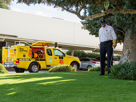 Truly Nolen Pest Control Truly Nolen Pest Control Slider 4