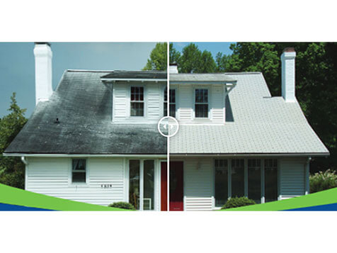 SoftWash Systems SoftWash Systems Slider 2