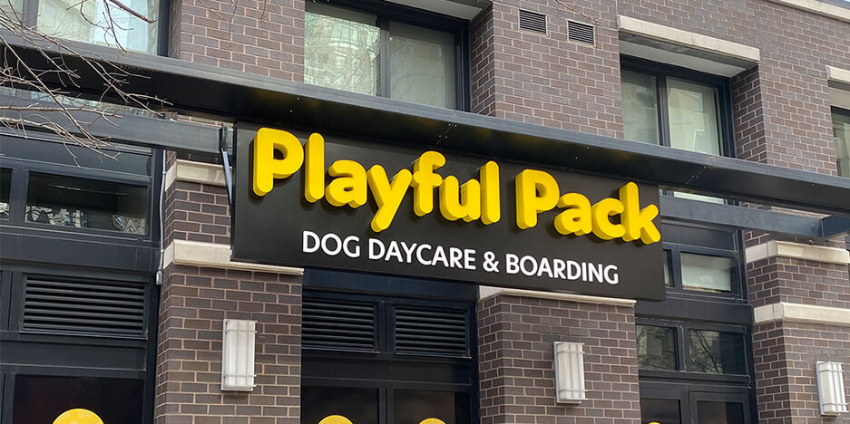 Playful Pack Slider-7