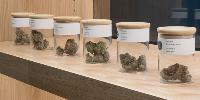 Sweetspot - Cannabis Dispensary Slider-5