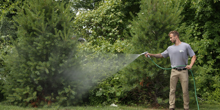 ohDEER - All Natural Deer, Tick & Mosquito Control Slider-6