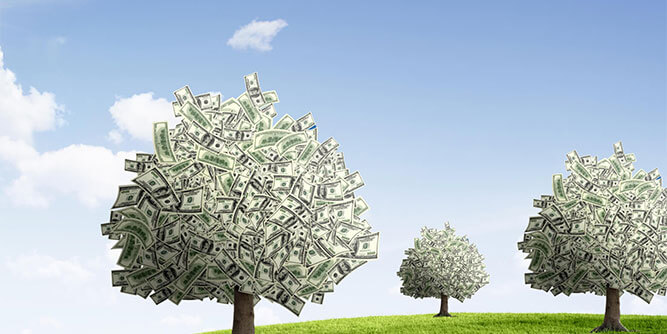 Franchise Venture Capital Slider-1