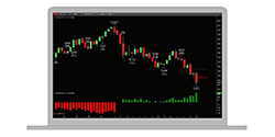 Emini Futures Day Trader