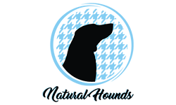 Franchise Opportunity Franchise Opportunity